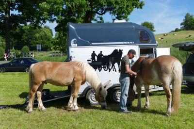 Foto des Albums: Fahrturnier Hilders 2017