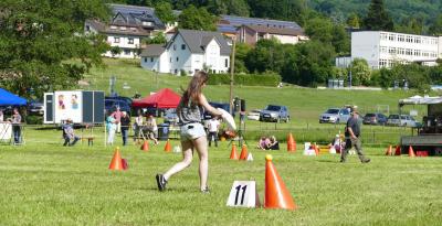 Foto des Albums: Fahrturnier Hilders 2017
