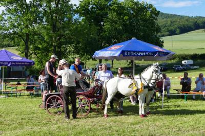 Foto des Albums: Fahrturnier Hilders 2017