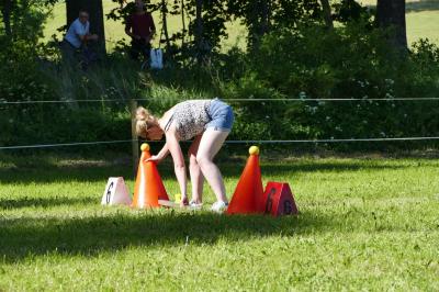 Foto des Albums: Fahrturnier Hilders 2017
