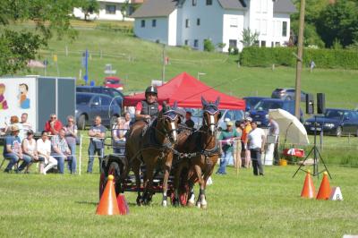 Foto des Albums: Fahrturnier Hilders 2017