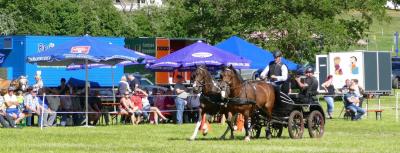 Foto des Albums: Fahrturnier Hilders 2017
