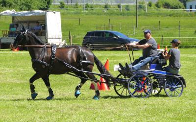 Foto des Albums: Fahrturnier Hilders 2017