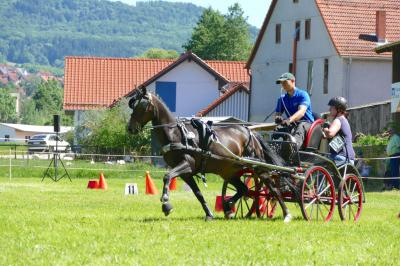 Foto des Albums: Fahrturnier Hilders 2017