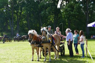 Foto des Albums: Fahrturnier Hilders 2017
