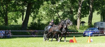 Foto des Albums: Fahrturnier Hilders 2017