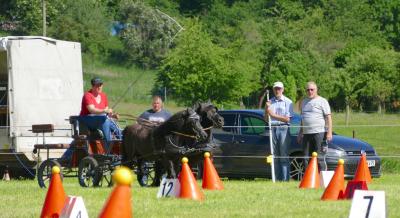 Foto des Albums: Fahrturnier Hilders 2017
