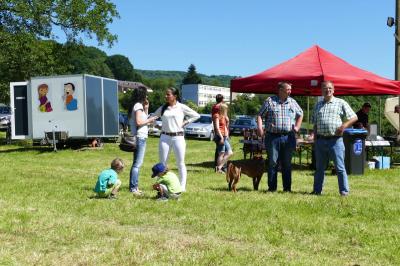 Foto des Albums: Fahrturnier Hilders 2017