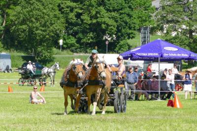 Foto des Albums: Fahrturnier Hilders 2017