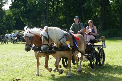 Foto des Albums: Fahrturnier Hilders 2017