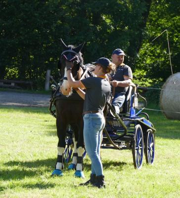 Foto des Albums: Fahrturnier Hilders 2017