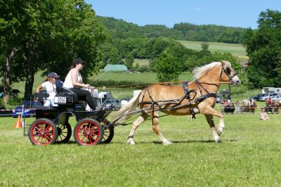 Foto des Albums: Fahrturnier Hilders 2017