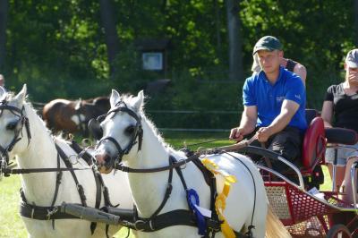Foto des Albums: Fahrturnier Hilders 2017