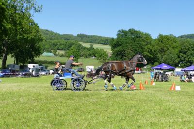 Foto des Albums: Fahrturnier Hilders 2017