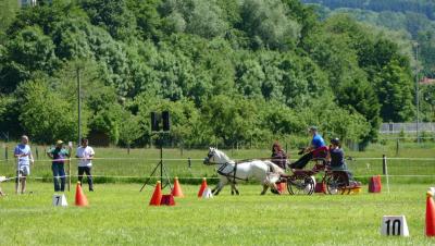 Foto des Albums: Fahrturnier Hilders 2017