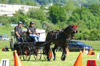 Foto des Albums: Fahrturnier Hilders 2017