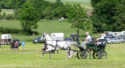 Foto des Albums: Fahrturnier Hilders 2017