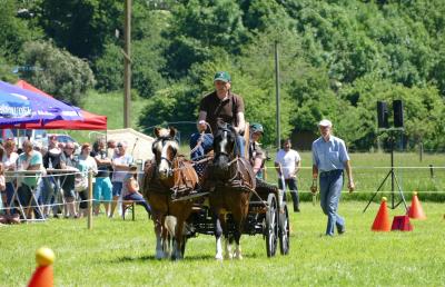 Foto des Albums: Fahrturnier Hilders 2017