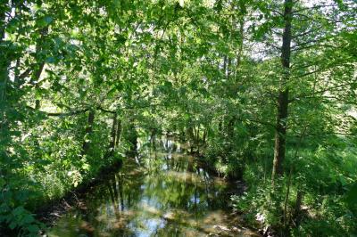 Foto des Albums: Fahrturnier Hilders 2017