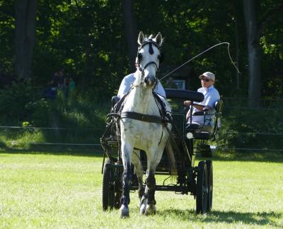 Foto des Albums: Fahrturnier Hilders 2017