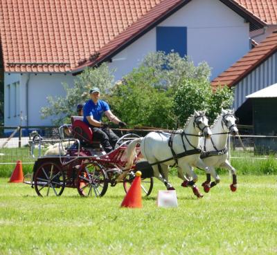 Foto des Albums: Fahrturnier Hilders 2017