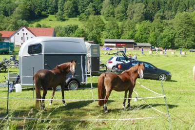 Foto des Albums: Fahrturnier Hilders 2017