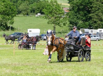 Foto des Albums: Fahrturnier Hilders 2017