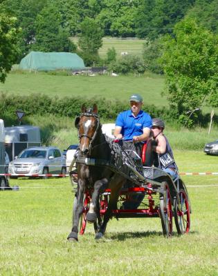 Foto des Albums: Fahrturnier Hilders 2017