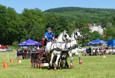 Foto des Albums: Fahrturnier Hilders 2017