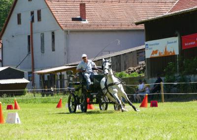 Foto des Albums: Fahrturnier Hilders 2017