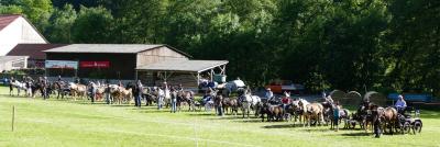 Foto des Albums: Fahrturnier Hilders 2017