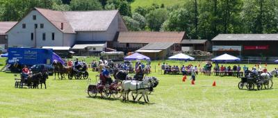 Foto des Albums: Fahrturnier Hilders 2017
