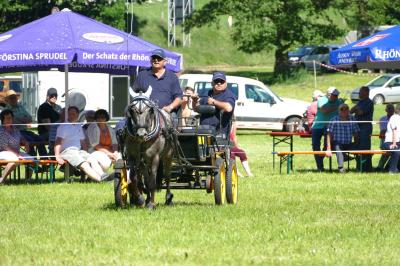 Foto des Albums: Fahrturnier Hilders 2017