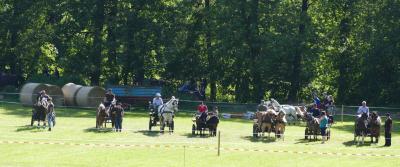Foto des Albums: Fahrturnier Hilders 2017