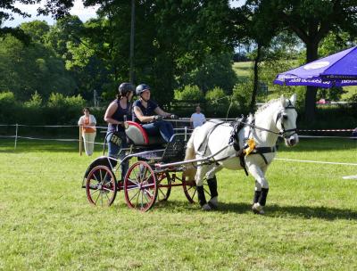 Foto des Albums: Fahrturnier Hilders 2017