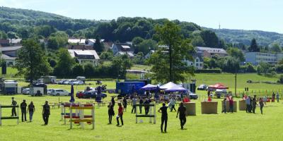 Foto des Albums: Fahrturnier Hilders 2017