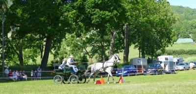 Foto des Albums: Fahrturnier Hilders 2017