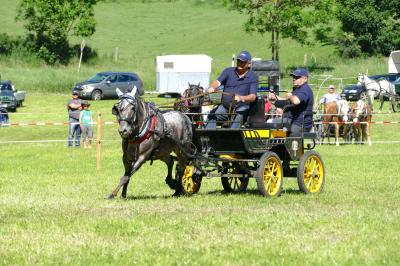 Foto des Albums: Fahrturnier Hilders 2017