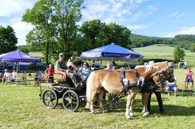 Foto des Albums: Fahrturnier Hilders 2017