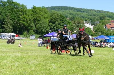Foto des Albums: Fahrturnier Hilders 2017