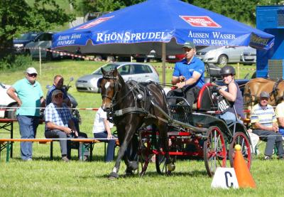Foto des Albums: Fahrturnier Hilders 2017