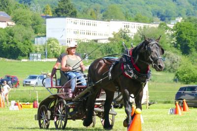 Foto des Albums: Fahrturnier Hilders 2017