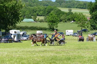Foto des Albums: Fahrturnier Hilders 2017