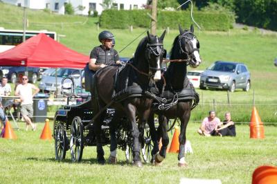 Foto des Albums: Fahrturnier Hilders 2017