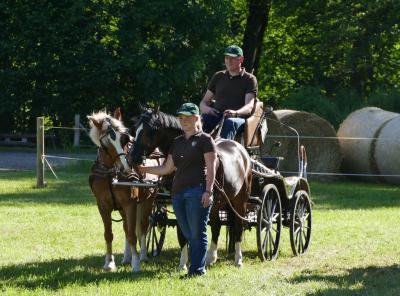 Foto des Albums: Fahrturnier Hilders 2017