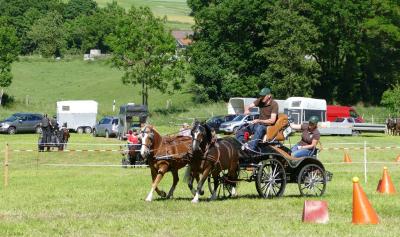 Foto des Albums: Fahrturnier Hilders 2017