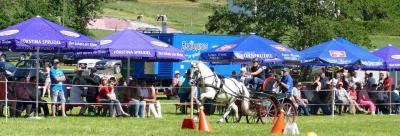 Foto des Albums: Fahrturnier Hilders 2017