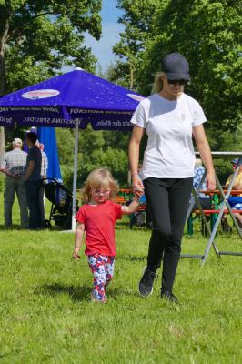 Foto des Albums: Fahrturnier Hilders 2017