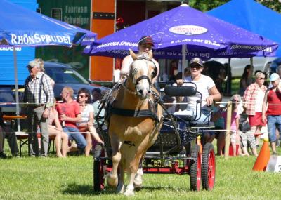 Foto des Albums: Fahrturnier Hilders 2017