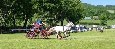 Foto des Albums: Fahrturnier Hilders 2017